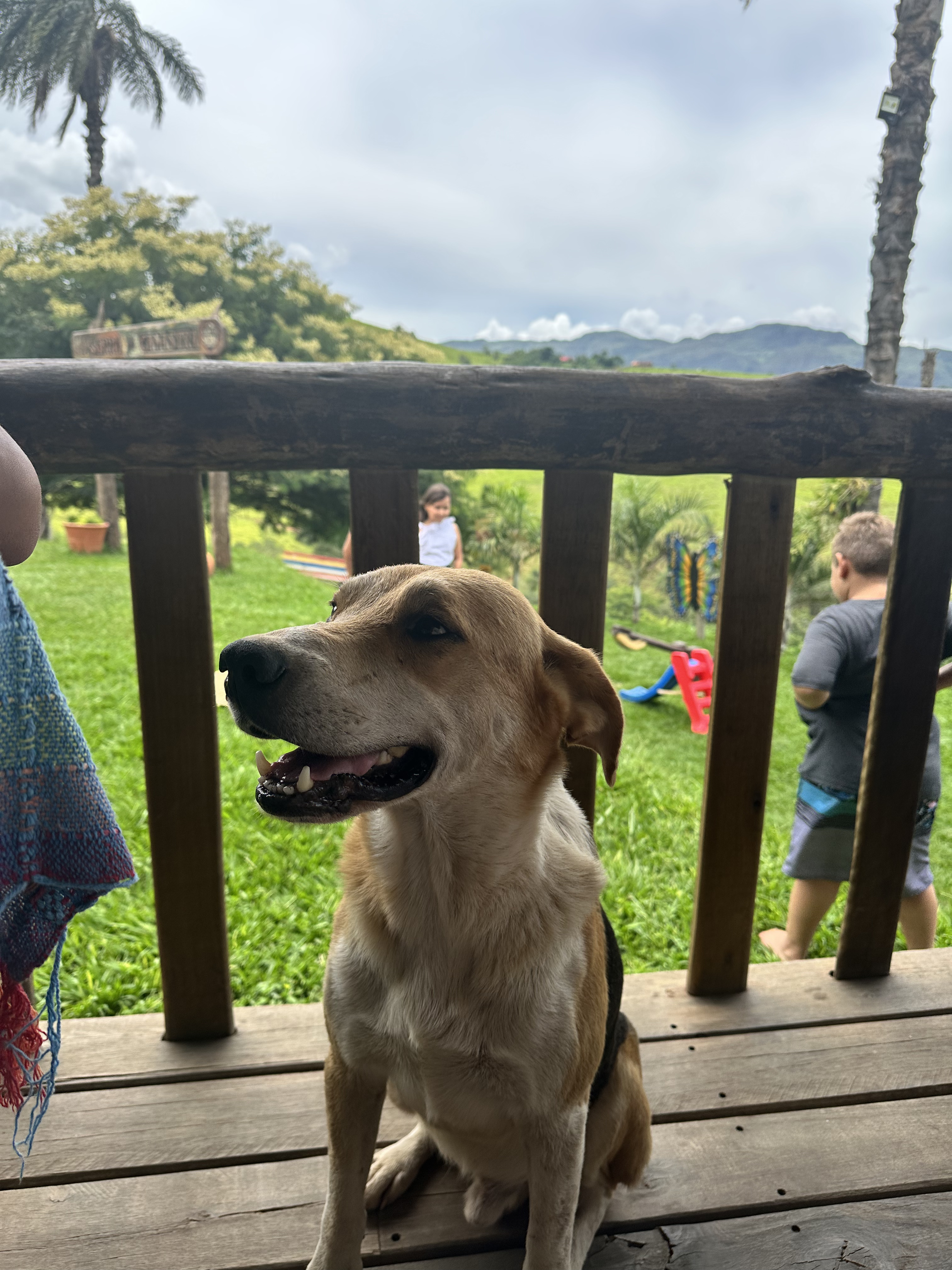 Pet Friendly